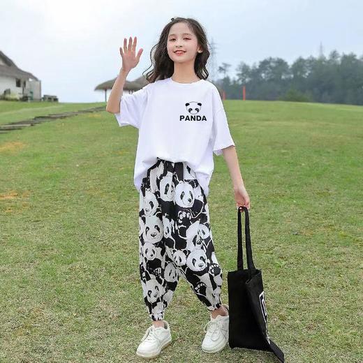 女童夏装半袖套装新款短袖防蚊长裤儿童女孩中大童运动休闲两件套 商品图1