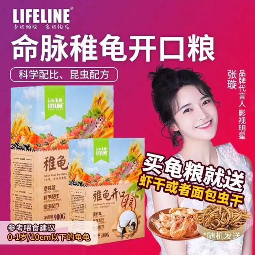 【基础粮】经典系列40%高蛋白主粮诱食龟苗开口粮成长型0-1岁 商品图0