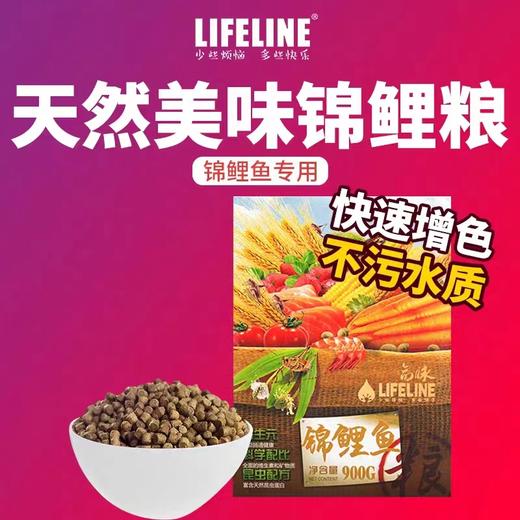 锦鲤鱼饲料，不浑水，900g 商品图0