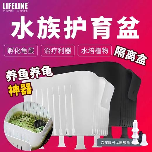 【家庭龟蛋孵化盒】发色隔离盒：龟苗护育盆 商品图0