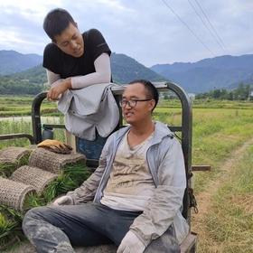  累吗？95后大学生种田的的困惑与思考 | 新农人日志 