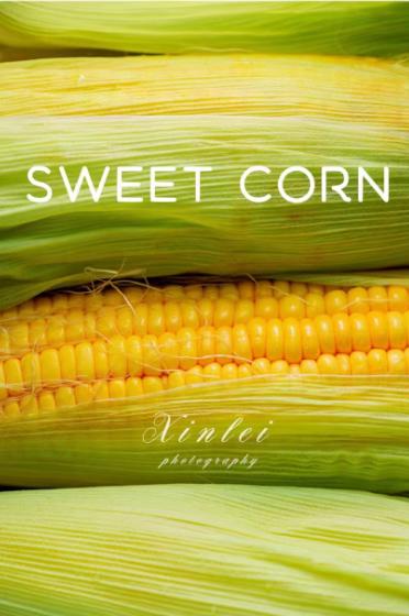 【BF】甜玉米一根 商品图0