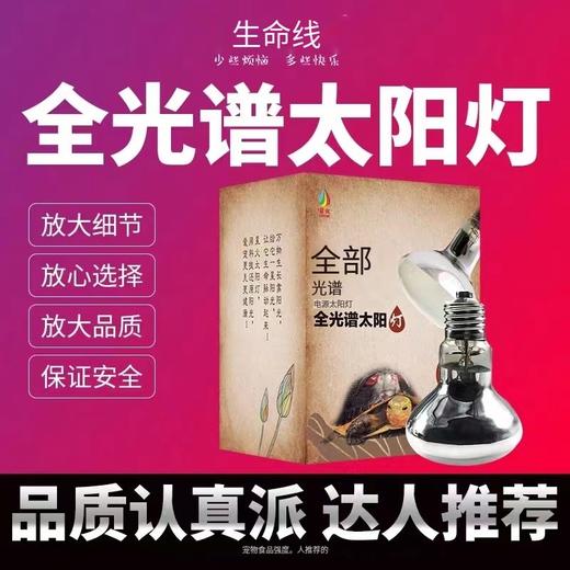 全光谱太阳灯（玩家专用） 商品图0