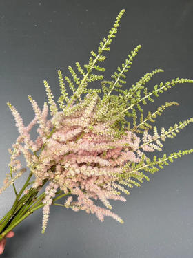 【清新淡雅】国产落新妇  浅粉色  9-10枝/扎