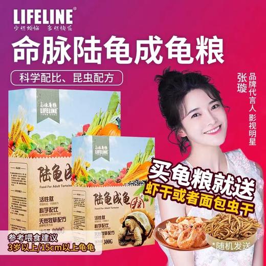 陆龟成龟粮经典系列 商品图0