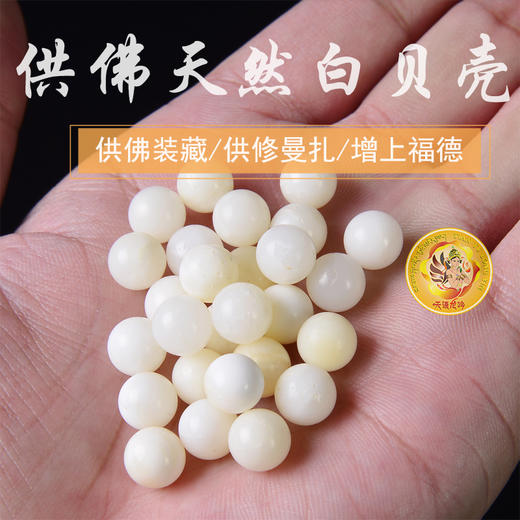 曼扎宝瓶宝石修曼扎宝石白贝壳圆珠 50g 商品图2