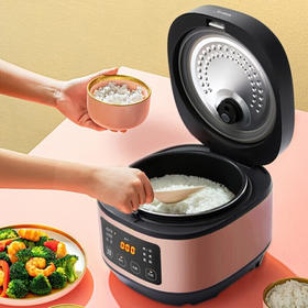 美的（Midea）美的（Midea） 电饭煲MB-AFB3061R家用多功能电饭锅 3L容量1-4人使用智能预约 AFB3061R(3L)