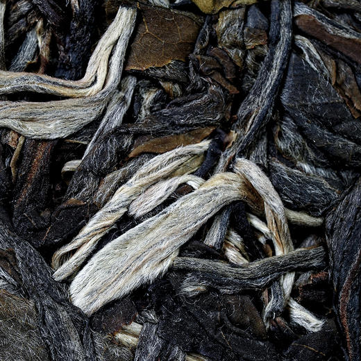 【蟒蛇箐】2023年春茶全是易武蕞野韵味能把茶喝的像喝汽水一样打嗝的也就只此一家了老茶客的佳选 商品图3