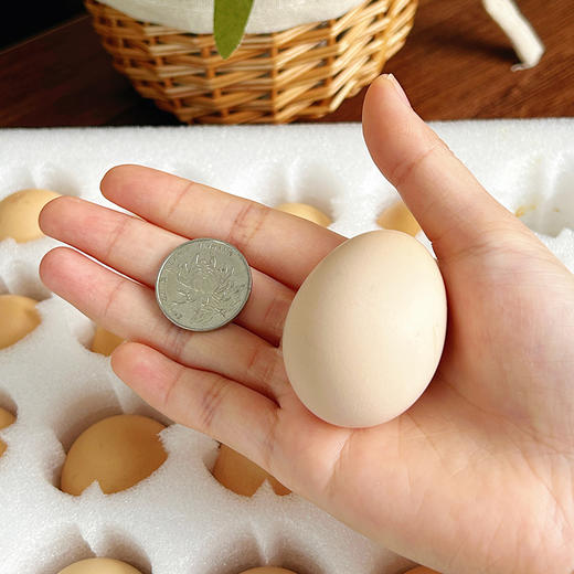 【九华山散养土鸡蛋/初生鸡蛋】天然高山生态散养  0激素0抗生素 商品图9