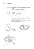 普通外科手绘手术图谱 精准手绘+操作视频+要点注释 徐国成 罗英伟 韩秋生 外科常规手术经典手术术式正规操作方法 人民卫生出版社 商品缩略图3