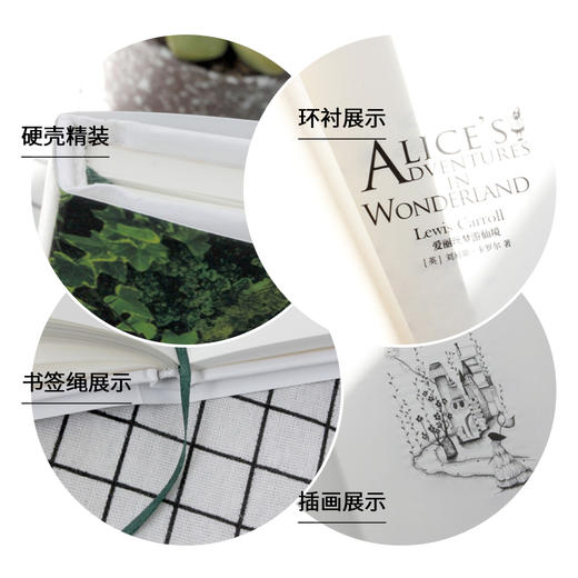 爱丽丝梦游仙境中英双语版(全2册) 新文轩版 商品图2