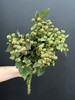 果实类花材树莓枝条1扎 商品缩略图2