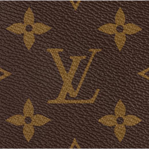【你好展厅现货款】LOUIS VUITTON 路易威登 女士 Speedy 25 手袋 （配肩带）M41113 商品图4
