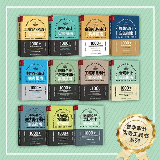 医院经济责任审计实务指南 商品图4