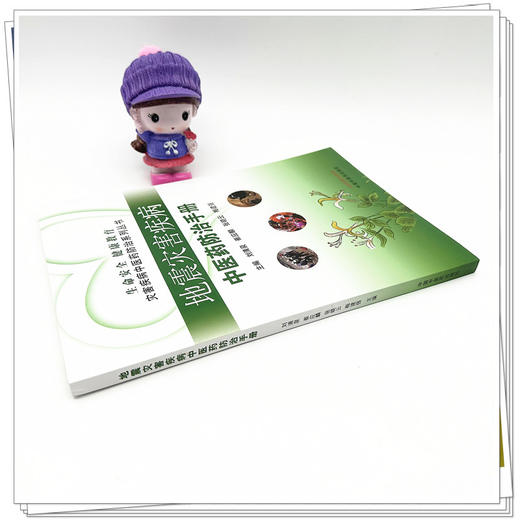 地震灾害疾病中医药防治手册 刘清泉 崔应麟 张晓云 梅建强 主编 中国中医药出版社 商品图3