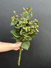 果实类花材树莓枝条1扎 商品缩略图3