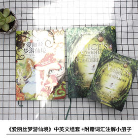 爱丽丝梦游仙境中英双语版(全2册) 新文轩版