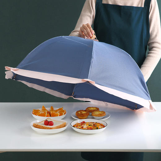 【可折叠饭菜罩】大号密网夏季剩菜食物罩 家用时尚防苍蝇餐桌罩可折叠盖菜罩 商品图1