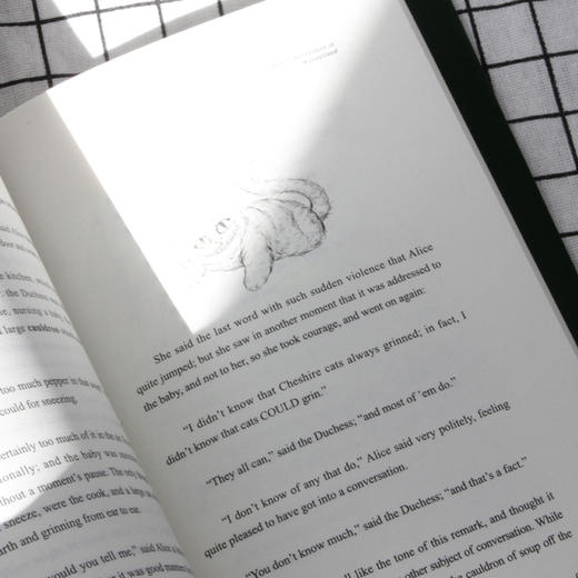 爱丽丝梦游仙境中英双语版(全2册) 新文轩版 商品图1