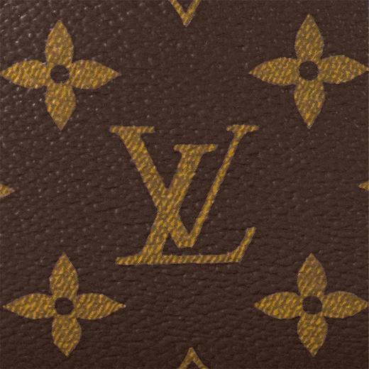 【预定款】LOUIS VUITTON 路易威登 SIDE TRUNK 手袋 M46358 商品图4