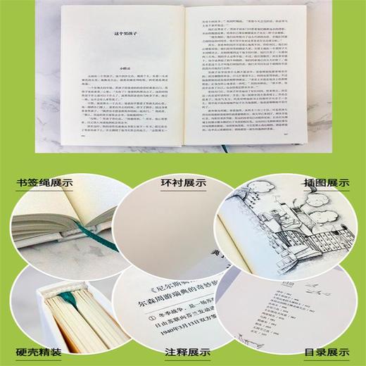 鲁滨逊漂流记+汤姆索亚历险记+尼尔斯骑鹅旅行记(全3册) 商品图2