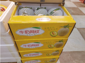 牛奶网纹哈蜜瓜一箱（拼团）