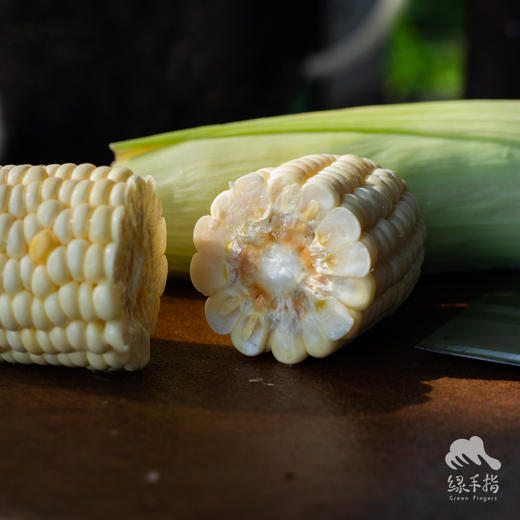 生态新津水果玉米 | 合作生产*Eco-Fruit corn  | Coproduction 商品图4