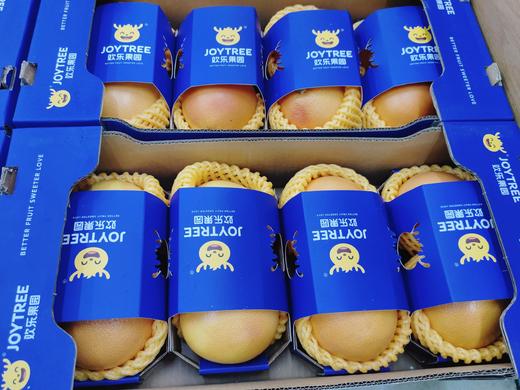 欢乐果园红西柚一盒 商品图3