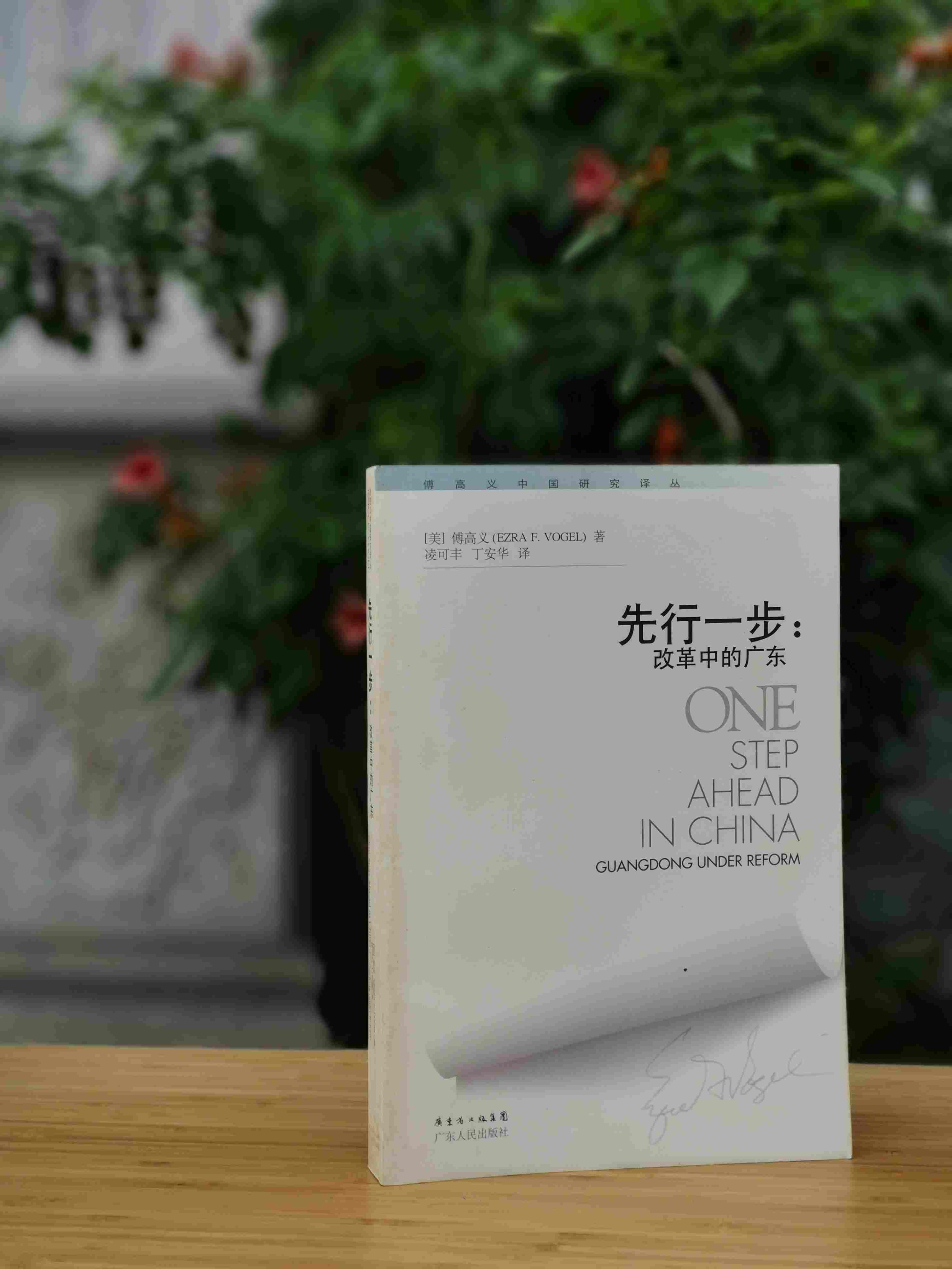 《先行一步：改革中的广东》，美 傅高义著，广东人民出版社2008年版，定价49.8元，售价38元。非偏远地区包邮，品相9成
 