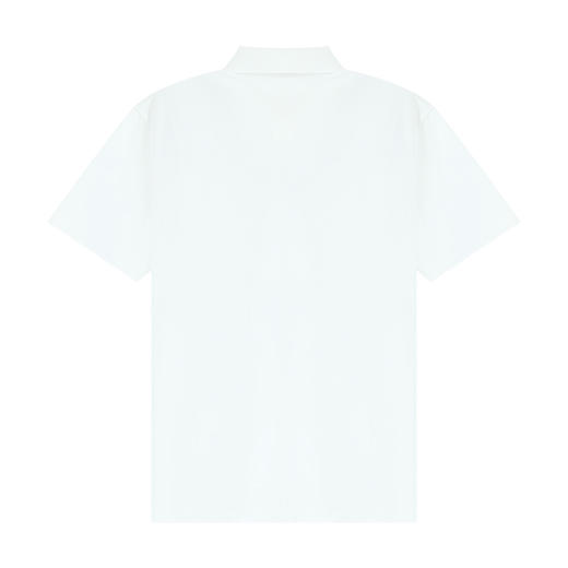 HX 夏季翻领短袖T恤S102320718101/02POLO杉 商品图7