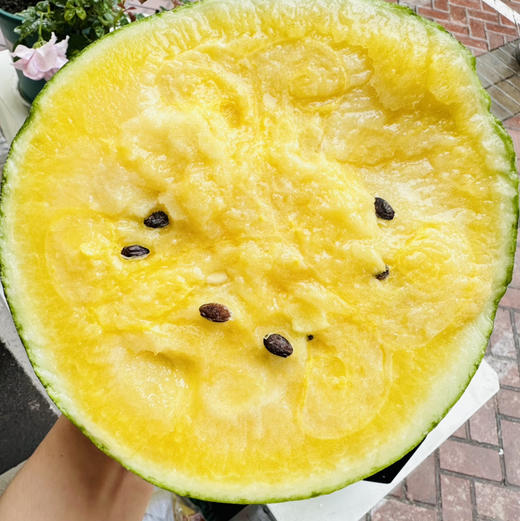 阔江小凤西瓜 商品图4