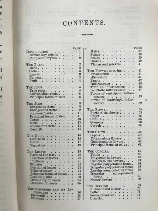 1865年 植物学原理 百余幅插图 漆布精装36开 商品图4