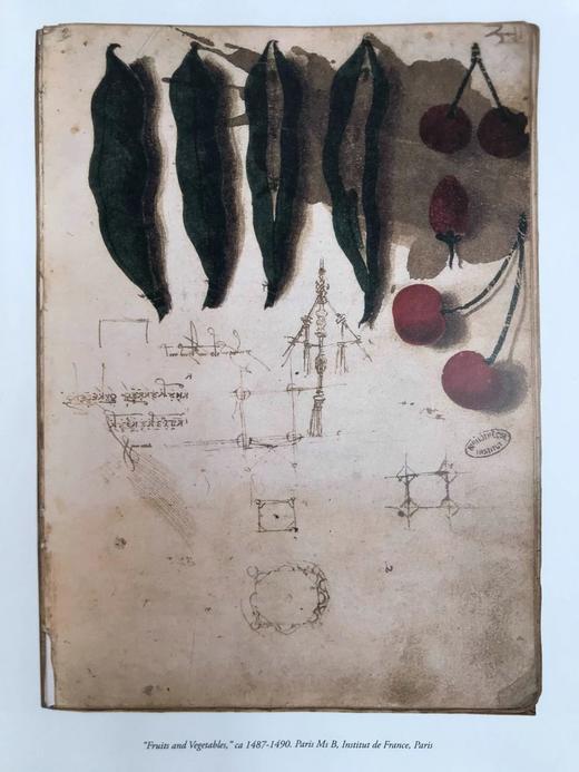 达芬奇的宇宙 数百幅插图 精装大16开 商品图12