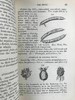 1865年 植物学原理 百余幅插图 漆布精装36开 商品缩略图6