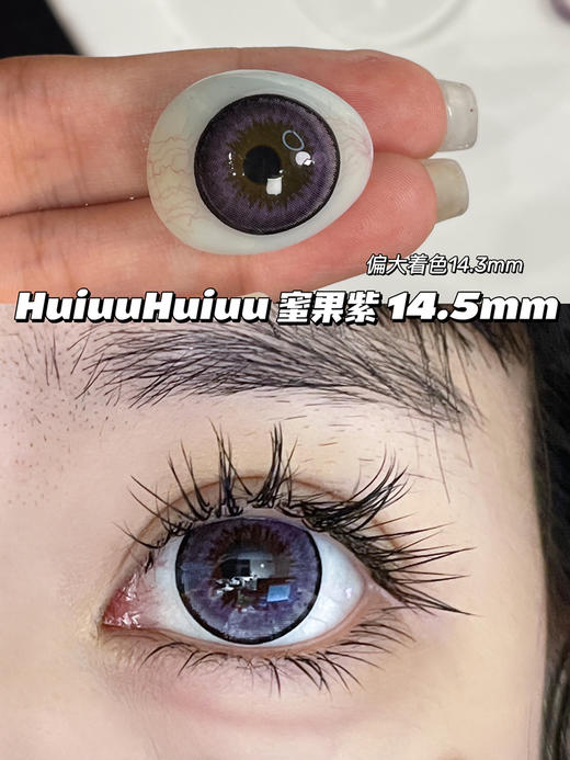 【店主实拍】蜜果紫色-14.5mm 【年抛 度数0-650度 无525/575】 商品图0