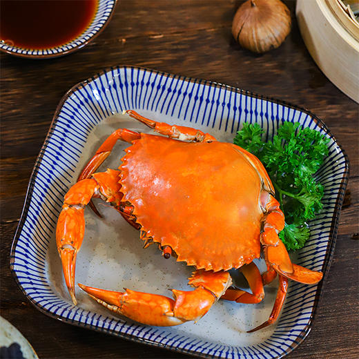 【膏油蟹 含油50-60%】挑时膏油黄油蟹  死蟹包赔 顺丰空运 3只起售 商品图3