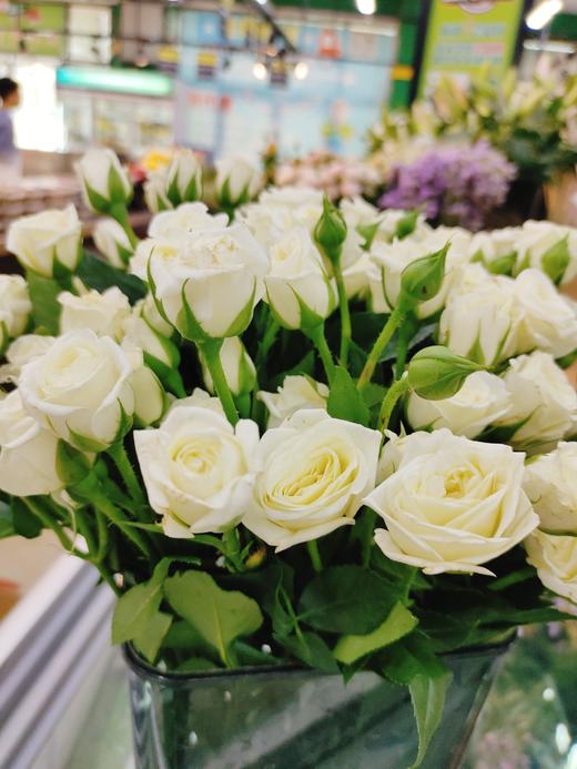 白色泡泡玫瑰3支 商品图2