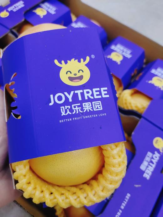 欢乐果园红西柚一盒 商品图0