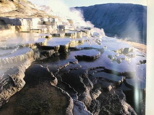 地外生命 约200余幅插图 精装16开 商品图13