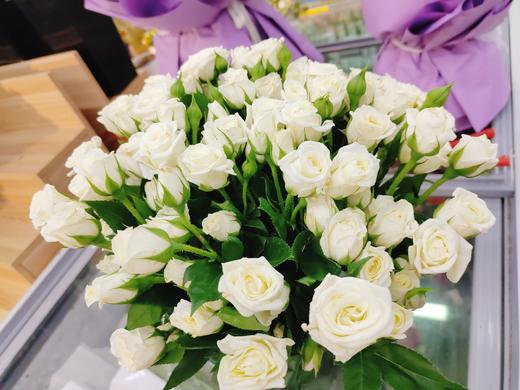 白色泡泡玫瑰3支 商品图1