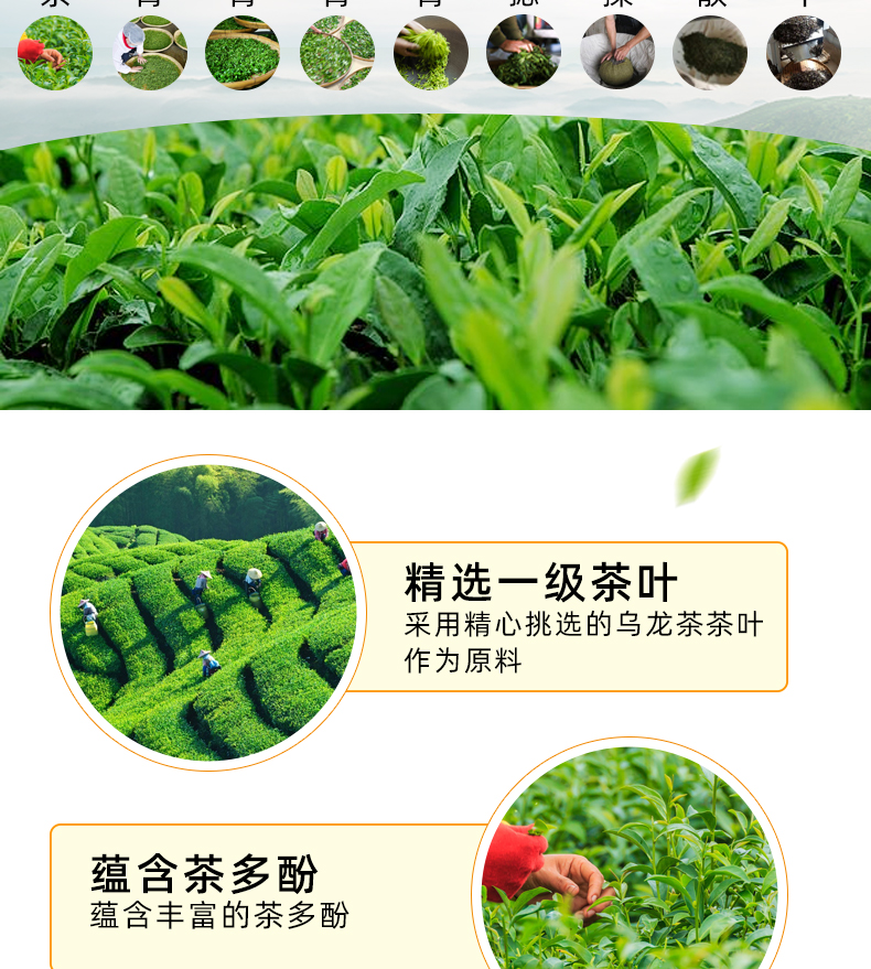 乌龙茶详情1_03.jpg