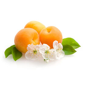 疆小密轮台小白杏3斤装