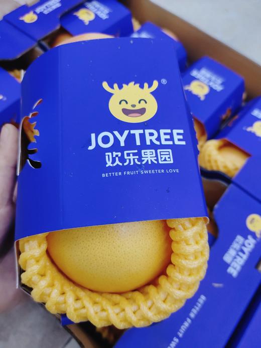 欢乐果园红西柚一盒 商品图4