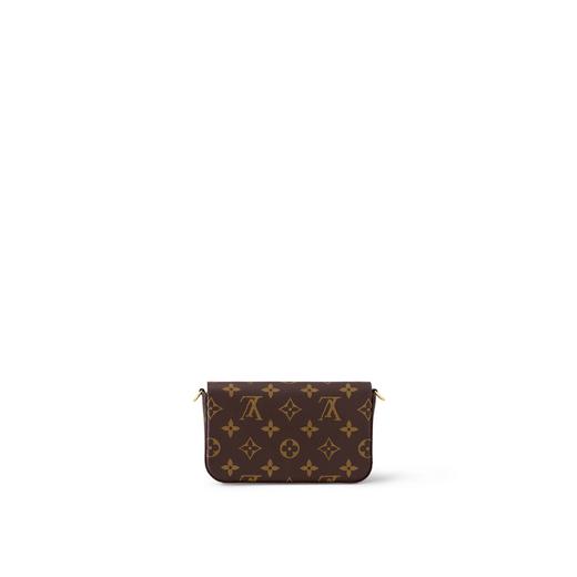 【预定款】LOUIS VUITTON 路易·威登 女士 FÉLICIE STRAP & GO 手袋 M80091 商品图3