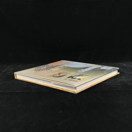 十九世纪新艺术运动图集 约200幅彩色插图 精装大16开 商品图2