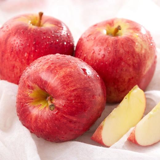 新西兰加力苹果 450g3个装/900g6个装  | 进口水果 商品图0