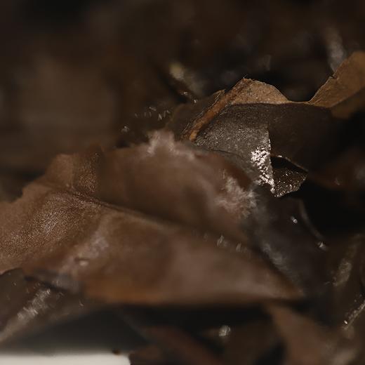 【拾年】2009年老白茶 商品图5