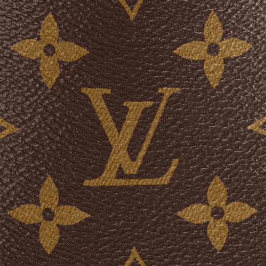 【预定款】LOUIS VUITTON 路易·威登 女士 FÉLICIE STRAP & GO 手袋 M80091 商品图7