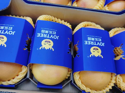 欢乐果园红西柚一盒 商品图2