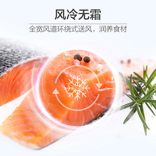 海尔（Haier）500升星蕴系列十字对开双开门四开门家用电冰箱超薄一级能效母婴超大容量BCD-500WLHTD78SMU1 商品图4